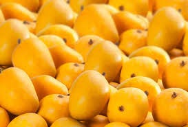 Why You Should Buy Alphonso Mango This Season