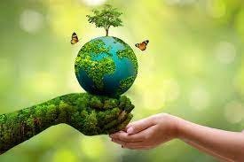 Importance of Environmental Conservation Efforts