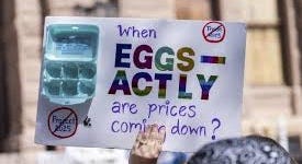 Trump Econ 101
