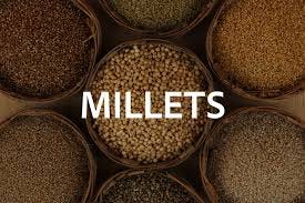 Millets to be Consumed in the Winter Season​