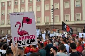 Flaming Revolution