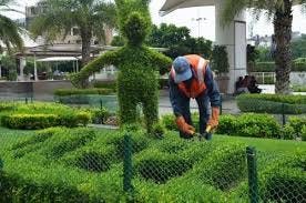 How to Choose the Right Landscape Architect in India