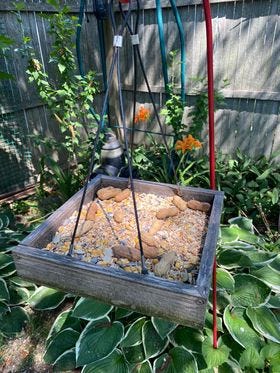 A Little Tour of My Backyard. Rearranging bird feeders and making… | by ...