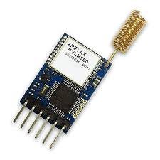 lora module