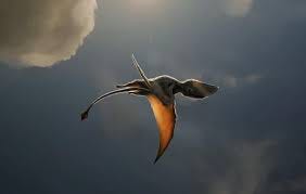 Pterosaurs in Netflix’s The Dinosaurs