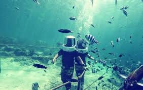 Scuba Diving in Andaman Price Per Person: Complete Cost Guide