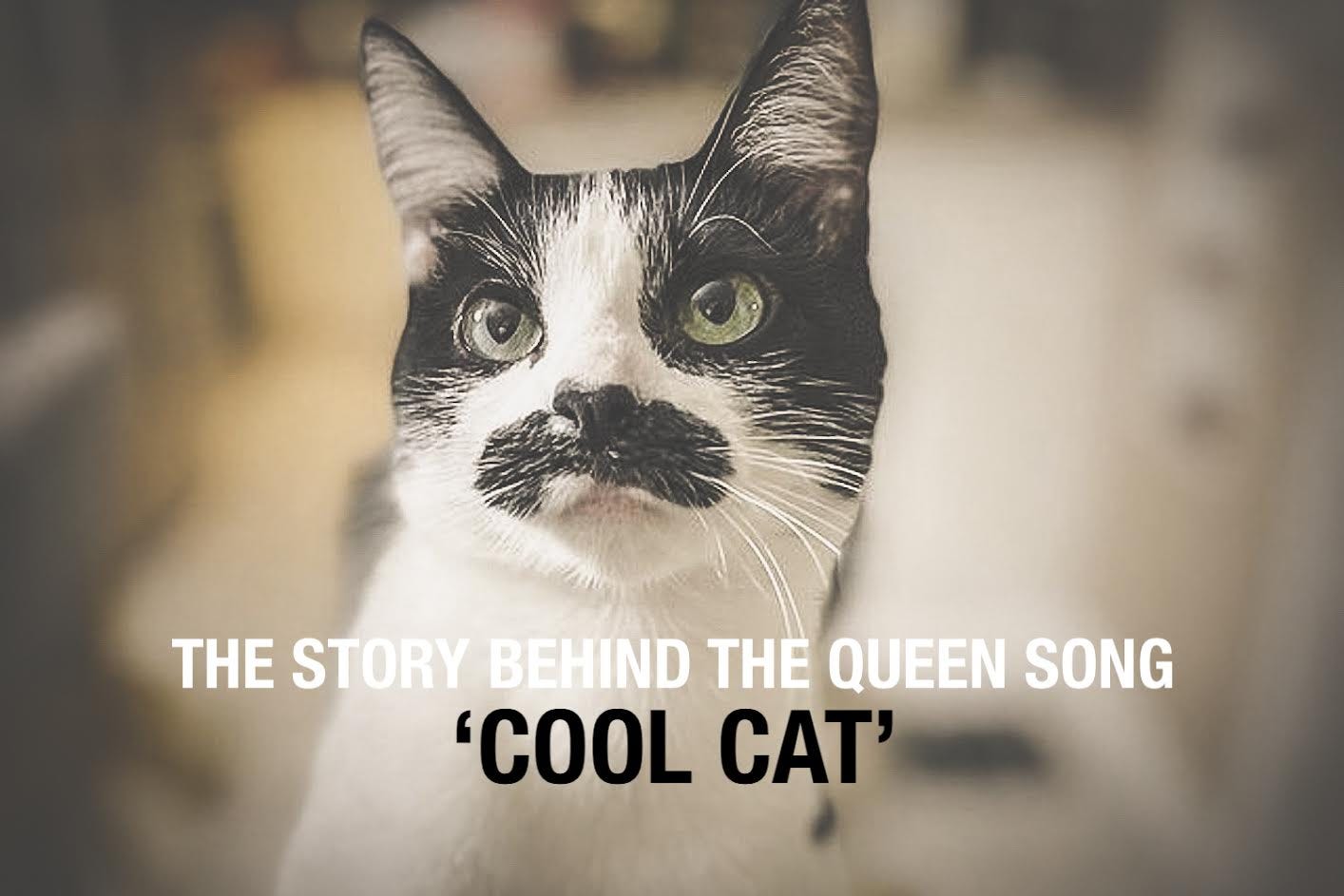 personale national flag Havslug The story behind the Queen song 'Cool Cat' | by Gary Marlowe | Medium