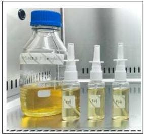 Formulation and Evaluation of Alugbati-Based Nasal Spray: A Preliminary study for the Adjunct…