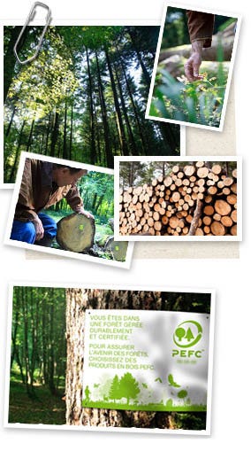 Qu’est-ce qu’une forêt bien gérée ?
