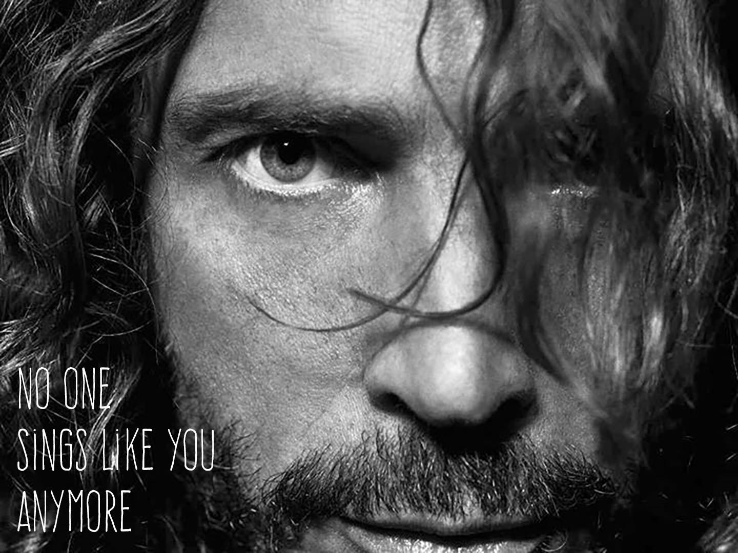No One Sings Like You Anymore. Chris Cornell: A legacy of