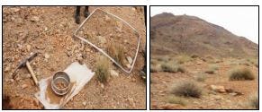The relationship between elevation, soil properties and vegetation cover in the Shorb-Ol-Ain…