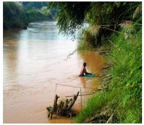 Bioaccumulation of lead, mercury and nitrates of Macrobrachium rosenbergii (Shrimp) as indicator of…