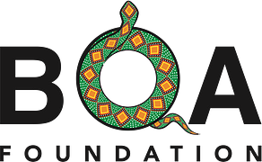 The Boa Foundation
