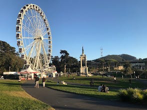 de Young Museum | San Francisco’s Premier Destination for Art and Culture