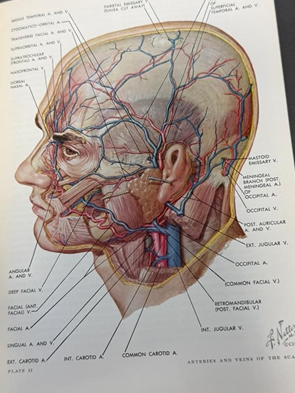 From Anatomy to Advertisements: The Peter Mohr Medical Collection