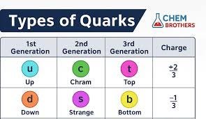 Quark Universe: Different Quarks