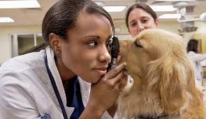 Veterinary clinic Richboro PA