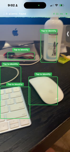 I Trained a Custom Plant Detector in One Night — Here’s How COCO Failed Me and YOLO-World Saved the…