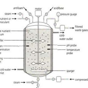 Bioreactors and their Design Features | by Trisha S. | Medium