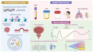 Liquid biopsy; Cancer Detection.