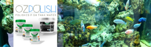 Why a lot of tiny bubbles from sand bed could be seen in a fish tank