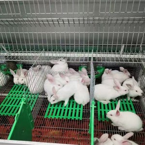 Publisher: s.alicdn.com