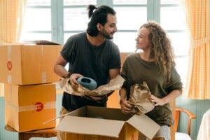 The Art of Moving House by Kartar Diamond