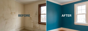 Best Residential Painting in North Vancouver| Best Painters 2026