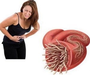 Question Asked: How do I get rid of stomach worms?