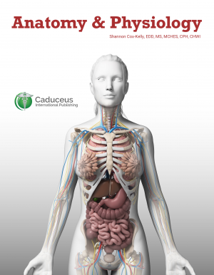Anatomy visual data 3