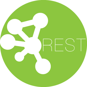 Rest Web Service Icon