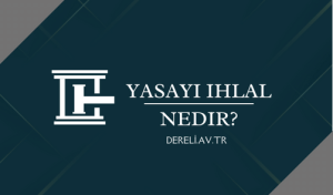 Yasayı İhlal Nedir?