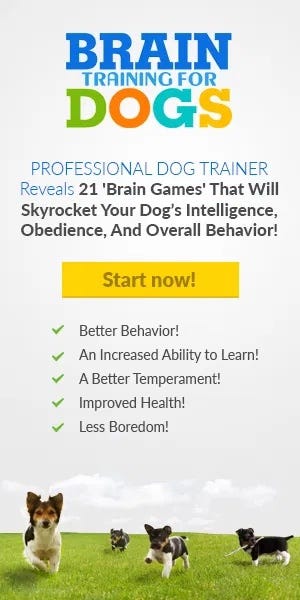The Brain Training For Dog