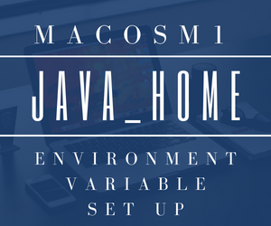 Steps to set up a Java environment variable in macOS M1? | by Jagadeesh ...