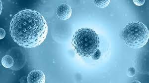 How to Validate and Standardize Cell-Based Assay in the Lab?