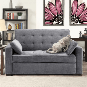 Comfortable convertible 2024 sofa bed