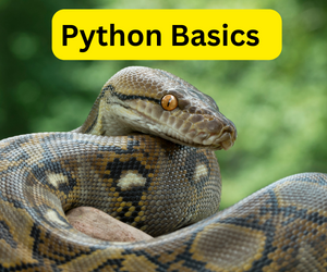Python Basics Tutorial: Getting Started with Python | by Learn Liberty ...