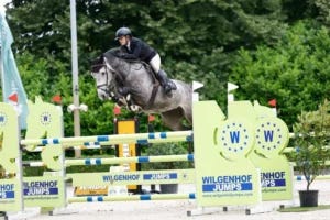 Premium Horses for Sale & Elite Horse Development in Ireland