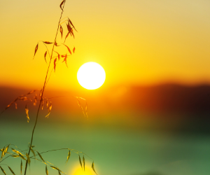 The Benefits of having a Wake up light