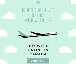 buy weed online