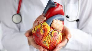 Trust your heart health to the Best Cardiologist in Delhi – Leading Heart Specialist in Delhi.