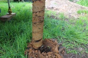 Unveiling the Secrets Beneath: Soil Report Mornington Peninsula and the Role of Soil Testing in 