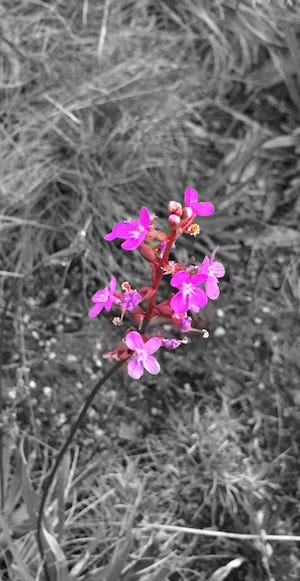 An Essay on Lent It s the time of year when we awake… by Daniel  