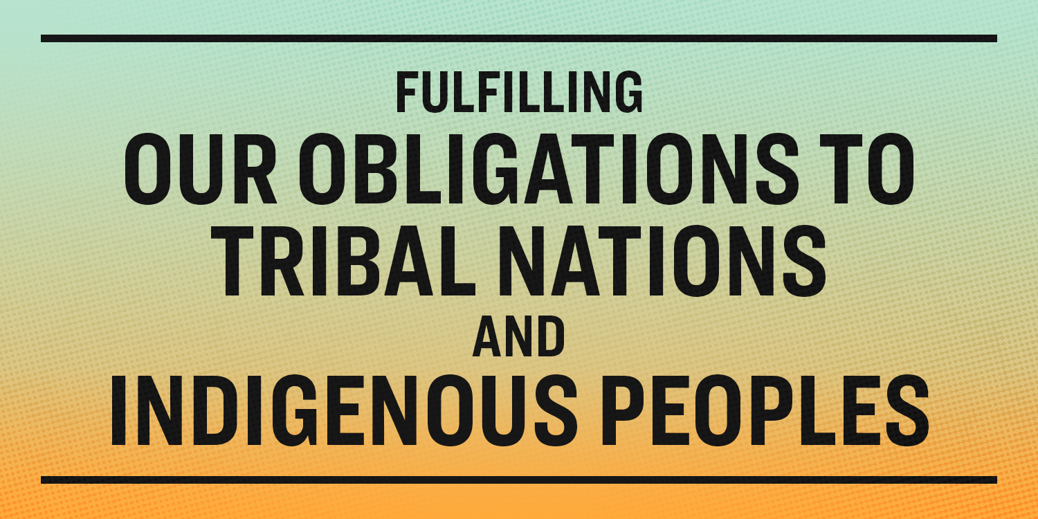 Institutions, states should come together to plan for welfare of tribals