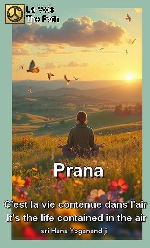 Prana, Histoire & Énergie Vitale Prana, History & Vital Energy