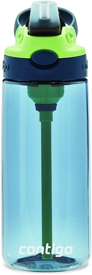 Contigo Cleanable Stainless Steel Insulated Water Bottle - Blue