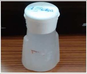 Probiotic Bacteria from Neera: Extending Fresh Produce Shelf Life