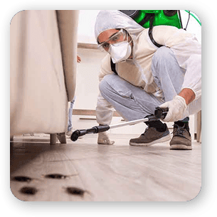 pest control