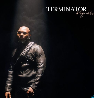 Music : King Promise — Terminator Mp3 | Free Audio Download | by Makesense  PM | May, 2023 | Medium