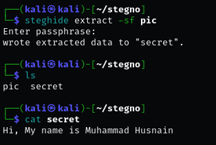 Want to Hide a Message? Steganography Is Your Secret Weapon
